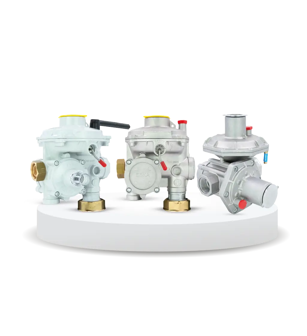 Double Stage Gas Pressure Regulators 