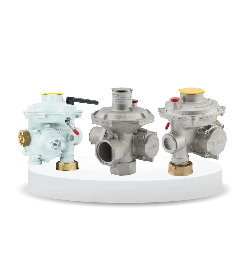 Double Stage Gas Pressure Regulators 