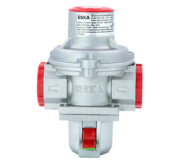 Natural Gas Switch