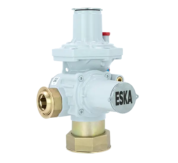ERG-H1