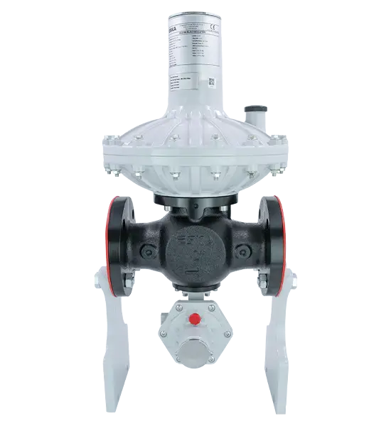 ERG-H6